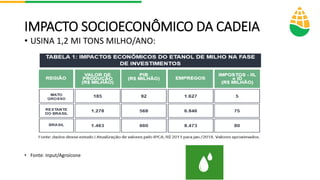 IMPACTO SOCIOECONÔMICO DA CADEIA
• USINA 1,2 MI TONS MILHO/ANO:
• Fonte: Input/Agroícone
 