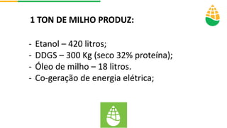 1 TON DE MILHO PRODUZ:
- Etanol – 420 litros;
- DDGS – 300 Kg (seco 32% proteína);
- Óleo de milho – 18 litros.
- Co-geraç...