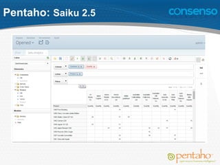 Pentaho: Saiku 2.5
 