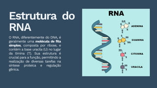Estrutura, Função e Mutação do DNA e RNA na Biologia Molecular | PDF