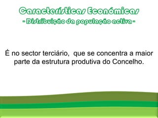 Fonte:  Censos 2001, INE É no sector terciário,  que se concentra a maior parte da estrutura produtiva do Concelho. 