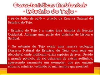 Fonte:  Censos 2001, INE 19 de Julho de 1976 – criação da Reserva Natural do Estuário do Tejo. Estuário do Tejo é a maior área húmida da Europa Ocidental. Abrange uma parte dos distritos de Lisboa e Setúbal. No estuário do Tejo existe uma reserva ecológica (Reserva Natural do Estuário do Tejo, com sede em Alcochete) onde nidificam várias espécies de aves. Devido à grande poluição do rio deixaram de existir golfinhos, aparecendo raramente um exemplar, que por engano entra no estuário, voltando ao mar sempre que possível. 