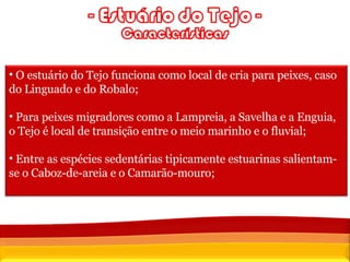 Fonte:  Censos 2001, INE O estuário do Tejo funciona como local de cria para peixes, caso do Linguado e do Robalo; Para peixes migradores como a Lampreia, a Savelha e a Enguia, o Tejo é local de transição entre o meio marinho e o fluvial; Entre as espécies sedentárias tipicamente estuarinas salientam-se o Caboz-de-areia e o Camarão-mouro; 