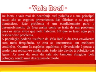 De facto, a vala real de Azambuja está poluída e a sua principal causa são os esgotos provenientes das fábricas e os esgotos domésticos. Este problema é um condicionante para o desenvolvimento da área assim como se trata de um problema para os seres vivos que nela habitam. Há que se fazer algo para resolver este problema. A população poderia usufruir da Vala Real e da área envolvente com mais frequência, se esta se encontrasse em melhores condições. Quanto às espécies aquáticas, a diversidade é pouca e tende para reduzir-se ainda mais, tudo isto devido à poluição das águas. As aves da zona da vala são também atingidas pela poluição, sendo uma das causas de morte. 