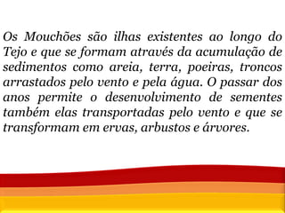 Os Mouchões são ilhas existentes ao longo do Tejo e que se formam através da acumulação de sedimentos como areia, terra, poeiras, troncos arrastados pelo vento e pela água. O passar dos anos permite o desenvolvimento de sementes também elas transportadas pelo vento e que se transformam em ervas, arbustos e árvores.  