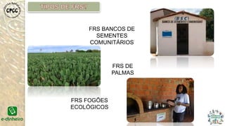 FRS DE
PALMAS
FRS FOGÕES
ECOLÓGICOS
FRS BANCOS DE
SEMENTES
COMUNITÁRIOS
 