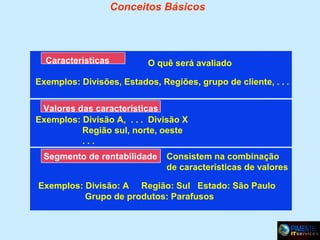 Conceitos Básicos

Características

O quê será avaliado

Exemplos: Divisões, Estados, Regiões, grupo de cliente, . . .
Valores das características
Exemplos: Divisão A, . . . Divisão X
Região sul, norte, oeste
...
Segmento de rentabilidade

Consistem na combinação
de características de valores

Exemplos: Divisão: A Região: Sul Estado: São Paulo
Grupo de produtos: Parafusos

 