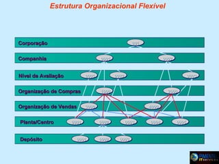 Estrutura Organizacional Flexível

Corporação

001

Companhia

0001

Nível de Avaliação

0001

Organização de Compras
Organização de Vendas
Planta/Centro
Depósito

0002

0002

0003

1000

2000

3000

0001

0001

4000
0002

0002

0003

0003

0004

0005

 