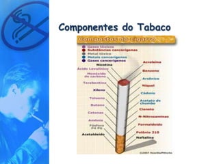 Componentes do Tabaco
 