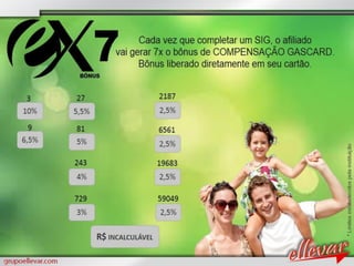 Apresentacao grupoellevar