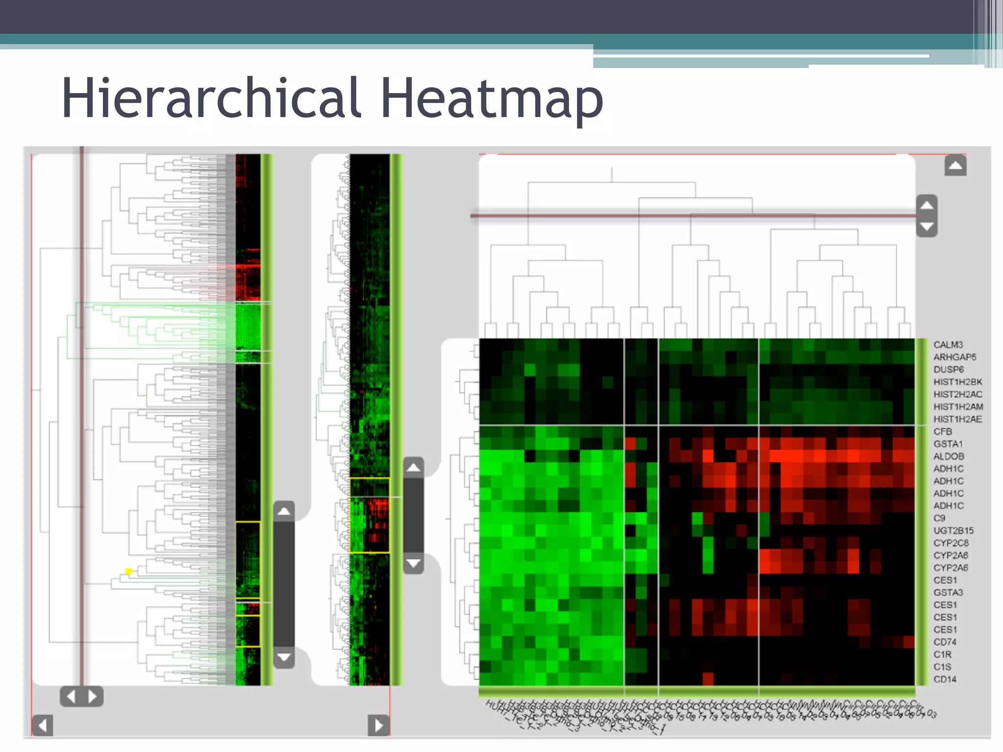 Hierarchical Heatmap
 