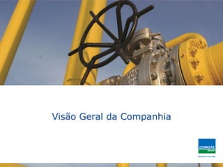 Visão Geral da Companhia
 