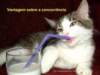 Vantagem sobre a concorrência
Foto: everystockphoto.com - Bill Tracey
 