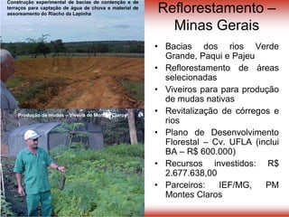 Reflorestamento –
Minas Gerais
• Bacias dos rios Verde
Grande, Paqui e Pajeu
• Reflorestamento de áreas
selecionadas
• Viveiros para para produção
de mudas nativas
• Revitalização de córregos e
rios
• Plano de Desenvolvimento
Florestal – Cv. UFLA (inclui
BA – R$ 600.000)
• Recursos investidos: R$
2.677.638,00
• Parceiros: IEF/MG, PM
Montes Claros
Construção experimental de bacias de contenção e de
terraços para captação de água de chuva e material de
assoreamento do Riacho da Lapinha
Produção de mudas – Viveiro de Montes Claros
 
