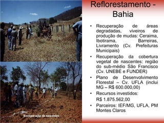 Reflorestamento -
Bahia
• Recuperação de áreas
degradadas, viveiros de
produção de mudas: Ceraima,
Ibotirama, Barreiras,
Livramento (Cv. Prefeituras
Municipais)
• Recuperação da cobertura
vegetal de nascentes: região
do sub-médio São Francisco
(Cv. UNEBE e FUNDER)
• Plano de Desenvolvimento
Florestal – Cv. UFLA (inclui
MG – R$ 600.000,00)
• Recursos investidos:
R$ 1.875.562,00
• Parceiros: IEF/MG, UFLA, PM
Montes Claros
Recuperação de nascentes
 