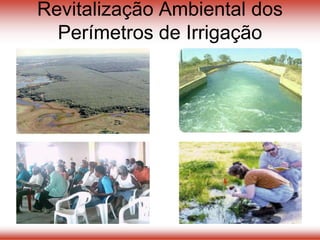 Revitalização Ambiental dos
Perímetros de Irrigação
 