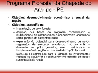 Programa Florestal da Chapada do
Araripe - PE
• Objetivo: desenvolvimento econômico e social da
região
• Objetivos específicos:
– Implantação de pólo florestal
– deinição das bases do programa considerando a
multiplicidade de componentes e conhecimento acumulado
como garantia de sustentabilidade;
– exploração do potencial para desenvolvimento de novos
segmentos de mercado, atendendo não somente à
demanda do pólo gesseiro, mas considerando a
transformação da região em um verdadeiro pólo florestal;
– Definição de estratégias para a atração de investimentos
capazes de alavancar o desenvolvimento florestal em bases
sustentáveis da região
 