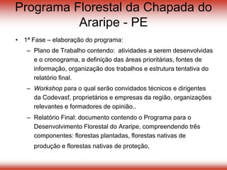 Programa Florestal da Chapada do
Araripe - PE
• 1ª Fase – elaboração do programa:
– Plano de Trabalho contendo: atividades a serem desenvolvidas
e o cronograma, a definição das áreas prioritárias, fontes de
informação, organização dos trabalhos e estrutura tentativa do
relatório final.
– Workshop para o qual serão convidados técnicos e dirigentes
da Codevasf, proprietários e empresas da região, organizações
relevantes e formadores de opinião..
– Relatório Final: documento contendo o Programa para o
Desenvolvimento Florestal do Araripe, compreendendo três
componentes: florestas plantadas, florestas nativas de
produção e florestas nativas de proteção,
 