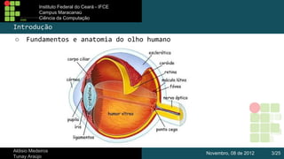 Instituto Federal do Ceará - IFCE
Campus Maracanaú
Ciência da Computação

Introdução
○

Fundamentos e anatomia do olho humano

Aldisio Medeiros
Tunay Araújo

Novembro, 08 de 2012

3/25

 