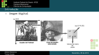 Instituto Federal do Ceará - IFCE
Campus Maracanaú
Ciência da Computação

Introdução
○

Imagem Digital

Aldisio Medeiros
Tunay Araújo

Novembro, 08 de 2012

 