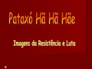 Pataxó Hã Hã Hãe Imagens da Resistência e Luta 