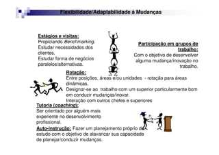 Rotação:
Entre posições, áreas e/ou unidades - rotação para áreas
dinâmicas.
Designar-se ao trabalho com um superior particularmente bom
em conduzir mudanças/inovar.
Interação com outros chefes e superiores
Flexibilidade/Adaptabilidade à Mudanças
Estágios e visitas:
Propiciando Benchmarking.
Estudar necessidades dos
clientes.
Estudar forma de negócios
paralelos/alternativas.
Participação em grupos de
trabalho:
Com o objetivo de desenvolver
alguma mudança/inovação no
trabalho.
Tutoria (coaching):
Ser orientado por alguém mais
experiente no desenvolvimento
profissional.
Auto-instrução: Fazer um planejamento próprio de
estudo com o objetivo de alavancar sua capacidade
de planejar/conduzir mudanças.
 