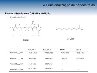 4. Funcionalização de nanoestrelas 
Funcionalização com CALNN e 11-MUA: 
• 6 moléculas / nm2 
HS N 
H 
H 
N 
NH2 
O NH2 
O 
N 
H 
O 
O 
H 
N 
O 
OH 
OH 
O 
O 
NH2 
Cis Ala Leu Asn Asn 
O 
SH OH 
CALNN 1 CALNN 2 MUA 1 MUA 2 
Potencial ζ inicial / mV - 40,00 ± 19,0 - 40,00 ± 19,0 - 40,00 ± 19,0 - 40,00 ± 19,0 
Potencial ζ após / mV -33,03±24,9 -19,87±29,6 -9,00±10 -10,93±10,7 
Potencial ζ (6dias) / mV -15,67 ±12,2 -21,97±21,8 
- - 
Potencial ζ 10mL / mV 
-33,47 ±26,8 -29,13±30,4 
- - 
CALNN 
11- MUA 
 