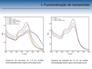 4. Funcionalização de nanoestrelas 
1 
0.8 
0.6 
0.4 
0.2 
300 400 500 600 700 800 900 1000 
 (nm) 
0 
Abs 
AuNPs 
AuNPs + CALNN 
AuNPs + CALNN (pH 3,80) 
0.8 
0.6 
0.4 
0.2 
300 400 500 600 700 800 900 1000 
 (nm) 
0 
Abs 
AuNPs 
AuNPs + CALNN 
AuNPs + CALNN (pH 3,85) 
AuNPs + CALNN (após 6 dias) 
AuNPs + 11-MUA 
AuNPs + 11-MUA (pH 3,82) 
Espect ro de ext inção de 1,5 mL AuNSs 
funcionalizadas antes e após a diminuição do pH. 
Espectro de extinção de 10 mL de AuNSs 
funcionalizadas antes e após a diminuição do pH. 
 