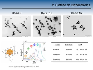 2. Síntese de Nanoestrelas 
Racio 9 Racio 11 Racio 15 
AuNSs Calculado T.E.M. 
Rácio 9 38,8 nm 36,1 ± 6,05 nm 
Rácio 11 41,2 nm 39,7 ± 5,30 nm 
Racio 15 45,3 nm 47,6 ± 9,09 nm 
Schematic representation imagem adaptada de of Rodríguez-a 4-fold Oliveros nanostar, et al., with 2012. 
two relevant symmetry 
plane ! where the number of tips is varied and the polarization plane . (b) 
 