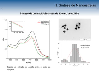 2. Síntese de Nanoestrelas 
0.25 
0.245 
0.24 
400 500 600 700 800 900 1000 
 (nm) 
0.8 
0.6 
0.4 
0.2 
0 
Abs 
AuNSs (DMF) 
AuNSs (Etanol) 
AuNSs (Água) 
395 400 405 410 
0.235 
Diâmetro (nm) 
Contagem 
20 30 40 50 60 70 80 
0 20 40 60 80 
Diâmetro médio 
50,25 ± 8,53 nm 
Síntese de uma solução stock de 120 mL de AuNSs 
Espetro de extinção de AuNSs antes e após as 
lavagens. 
 