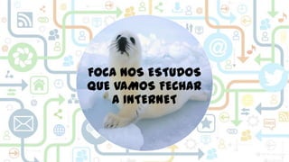 FOCA NOS ESTUDOS
QUE VAMOS FECHAR
A INTERNET

 