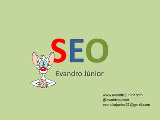 SEOEvandro Júnior
www.evandrojunior.com
@evandrojunior
evandrojunior21@gmail.com
 