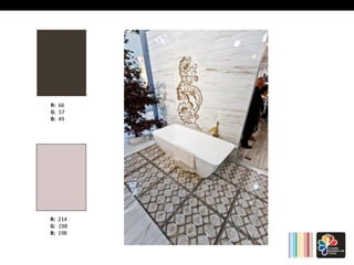 R: 66 
G: 
57 
B: 49 
R: 214 
G: 
198 
B: 198 
 