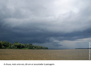 © WWF-Brasil / Zig Koch A chuva, mais uma vez, dá um ar assustador à paisagem.  