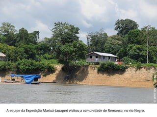 © WWF-Brasil / Zig Koch A equipe da Expedição Mariuá-Jauaperi visitou a comunidade de Remanso, no rio Negro. 