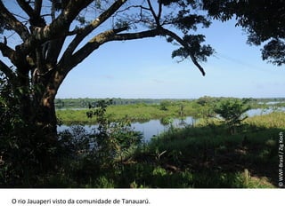 © WWF-Brasil / Zig Koch O rio Jauaperi visto da comunidade de Tanauarú. 