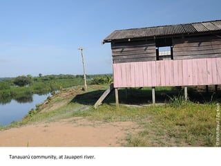 © WWF-Brasil / Zig Koch Tanauarú community, at Jauaperi river. 