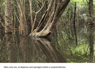 © WWF-Brasil / Zig Koch Mais uma vez, se deparou com paisagens belas e surpreendentes. 