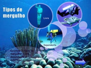 Livre
             Autónomo




Dependente
 