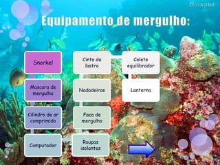 Cinto de      Colete
  Snorkel
                   lastro     equilibrador



 Mascara de
                 Nadadeiras    Lanterna
  mergulho



Cilindro de ar    Faca de
 comprimido       mergulho



                  Roupas
Computador
                 isolantes
 
