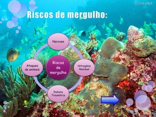 Narcose




              Riscos
 Ataques                  Nitrogénio
de animais
                de         Residual
             mergulho



              Embolia
             Traumática
 