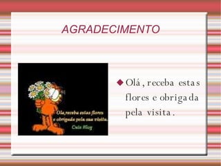 AGRADECIMENTO Olá, receba estas flores e obrigada pela visita. 