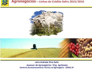 Agronegócios – Linhas de Crédito Safra 2015/2016
Jairo Andrade Silva Gallo
Assessor de Agronegócios / Eng. Agrônomo
Gerência de Assessoramento Técnico ao Agronegócio – GERAG SP
 