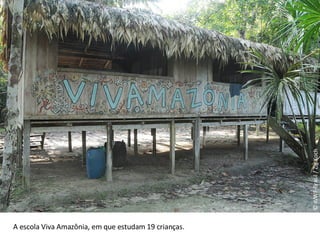 © WWF-Brasil / Zig Koch A escola Viva Amazônia, em que estudam 19 crianças. 