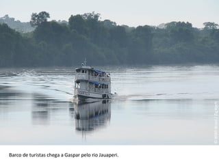 © WWF-Brasil / Zig Koch Barco de turistas chega a Gaspar pelo rio Jauaperi. 