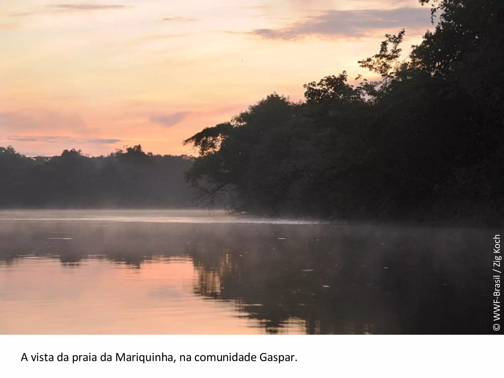 © WWF-Brasil / Zig Koch A vista da praia da Mariquinha, na comunidade Gaspar.