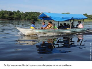 © WWF-Brasil / Zig Koch De dia, o agente ambiental transporta as crianças para a escola em Gaspar.