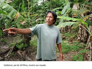 © WWF-Brasil / Zig Koch Valdemar, pai de 10 filhos, mostra seu roçado.