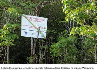 © WWF-Brasil / Zig Koch A placa de área de preservação foi colocada pelos moradores de Gaspar na praia da Mariquinha.