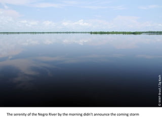 © WWF-Brasil / Zig Koch The serenity of the Negro River by the morning didn’t announce the coming storm 